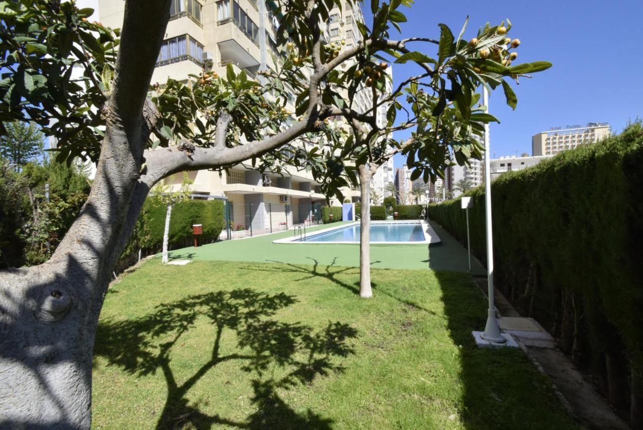 Mariscal 4 - Fincas Arena Benidorm Eksteriør bilde